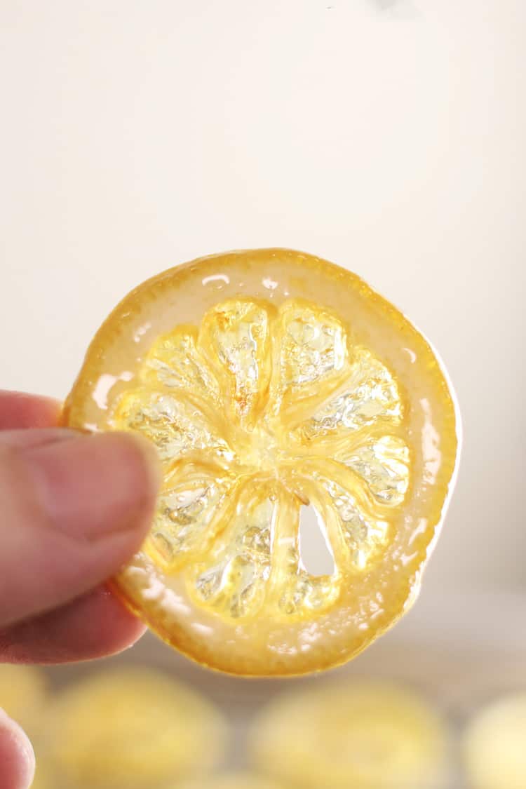 slice of candied lemon being held in front of a light