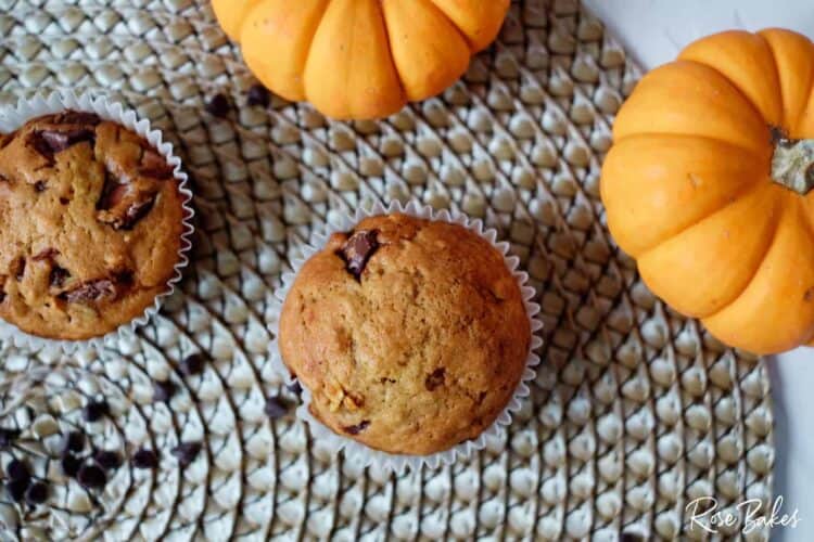 Top view of pumpkin chocolate chip muffins and mini orange pumpkins