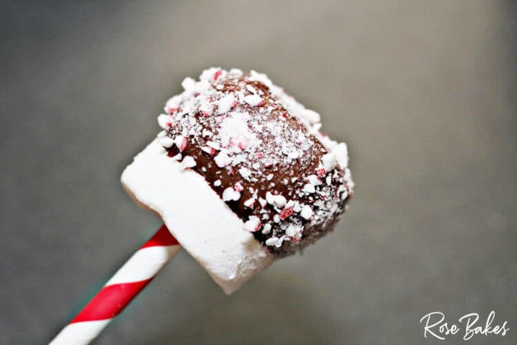 Marshmallow dipped in chocolate and peppermint on red and white straw : Peppermint Dipped Marshmallows for Hot Cocoa